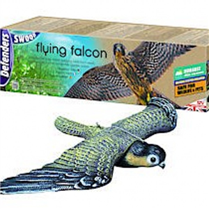 Falcon Decoy Flying